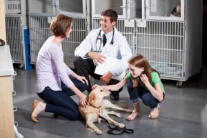 Upgrading Pet Facilities for Health and Safety with Polyaspartic Concrete Coatings