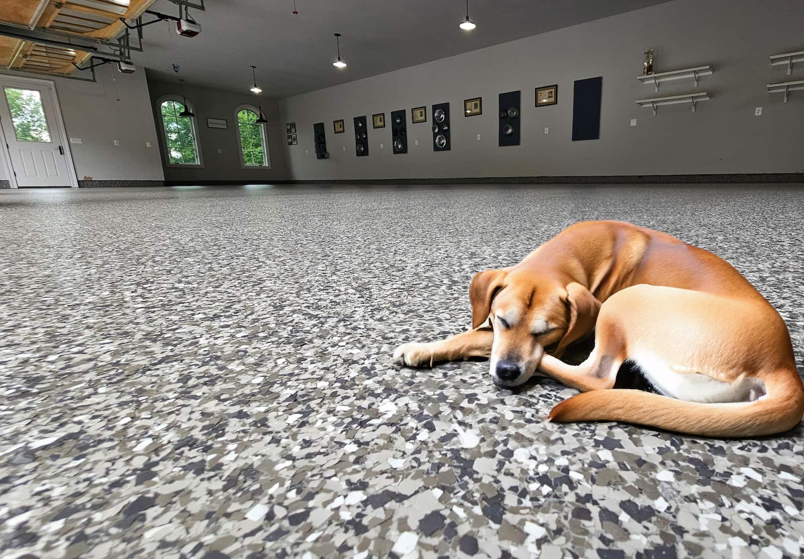 dog asleep Keeping Your Pets Cool in Summer with Polyaspartic Concrete Coating