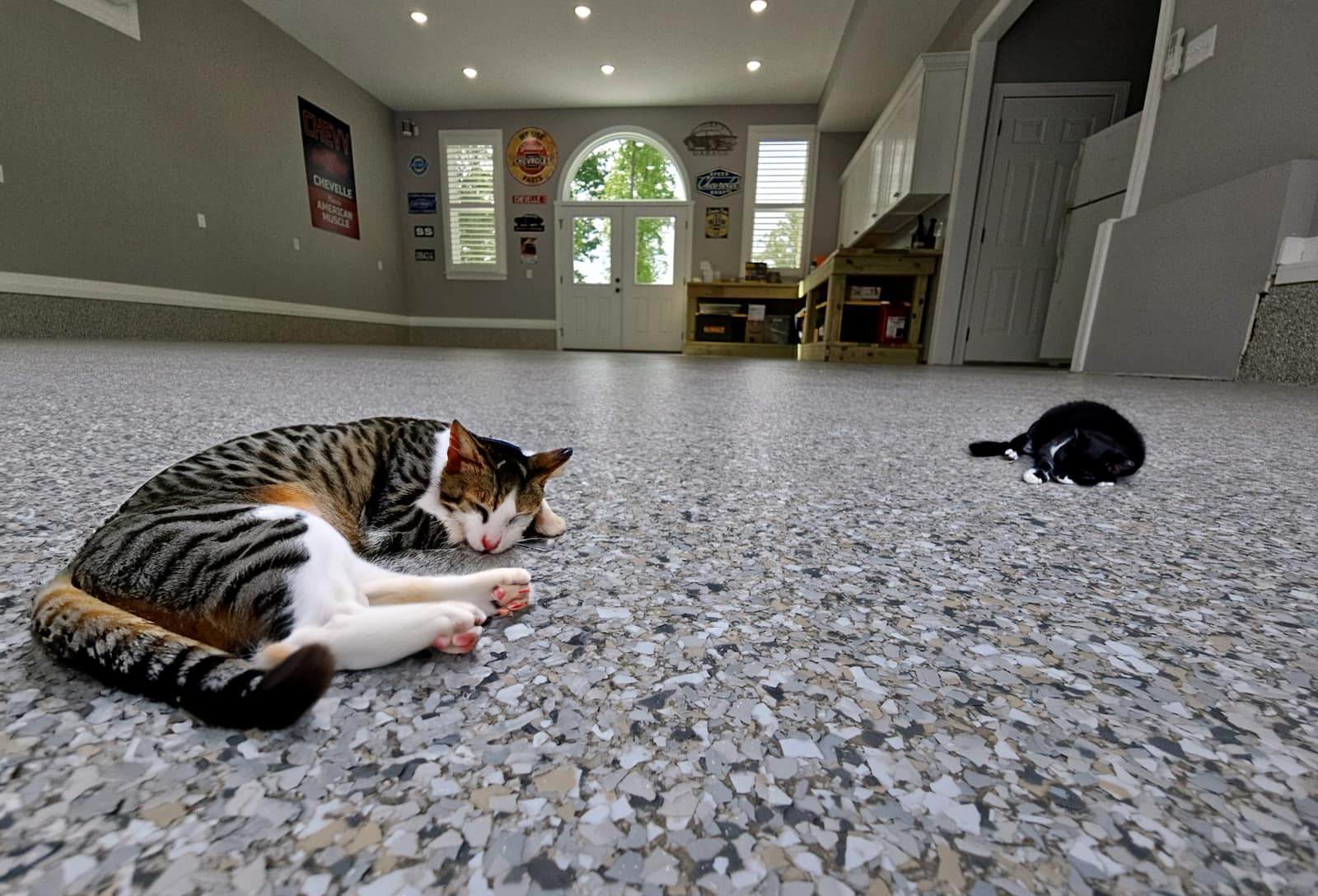 cats asleep Keeping Your Pets Cool in Summer with Polyaspartic Concrete Coating